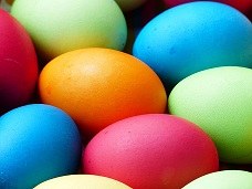Egg Hunt Egg Hunt