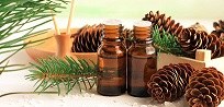 Essential Oils Class