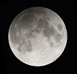 Midnight Moon Viewing Midnight Moon Viewing