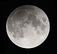 MIdnight Moon Viewing - Rescheduled