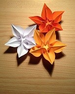 Origami Fun