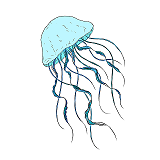 Teen Jellyfish Painting