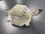 Turtle Book Folding Craft